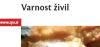 vaenostzivil