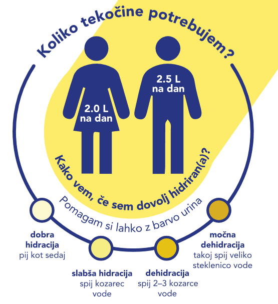 Infografika: koliko tekočine potrebujem?